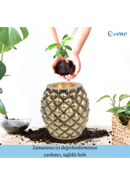 Ahşap Ayaklı Beton Saksı Büyük Boy Set 2 Adet Ananas Model fırsatları