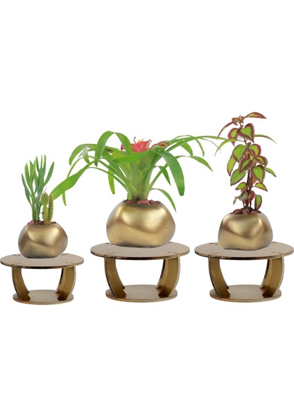 Ahşap Ayaklı Beton Saksı Büyük Boy Set 3 Adet Spiral Oval Model