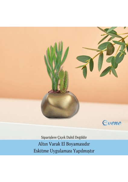 Ahşap Ayaklı Beton Saksı Büyük Boy Set 3 Adet Spiral Oval Model