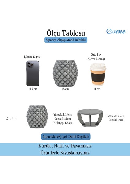 Ahşap Ayaklı Beton Saksı Büyük Boy Set 2 Adet Ananas Model