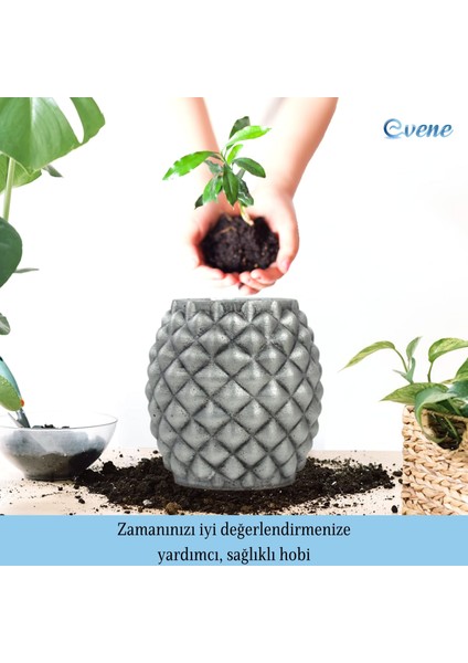Ahşap Ayaklı Beton Saksı Büyük Boy Set 2 Adet Ananas Model