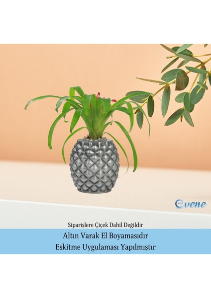 Ahşap Ayaklı Beton Saksı Büyük Boy Set 2 Adet Ananas Model
