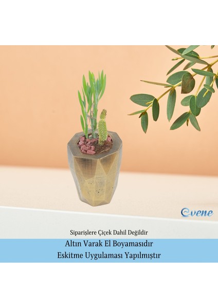 Ahşap Ayaklı Beton Saksı Büyük Boy Set 3 Adet Uzun Poly Model