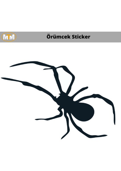 Örümcek oto Sticker 15 cm