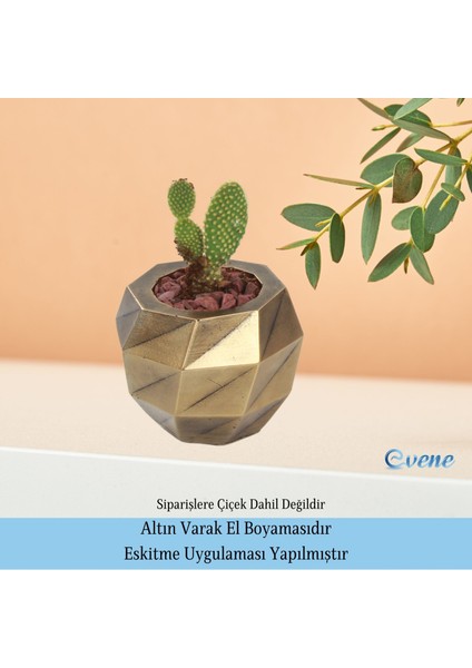 Ahşap Ayaklı Beton Saksı Büyük Boy Set 2 Adet Dönen Poly Model indirimleri
