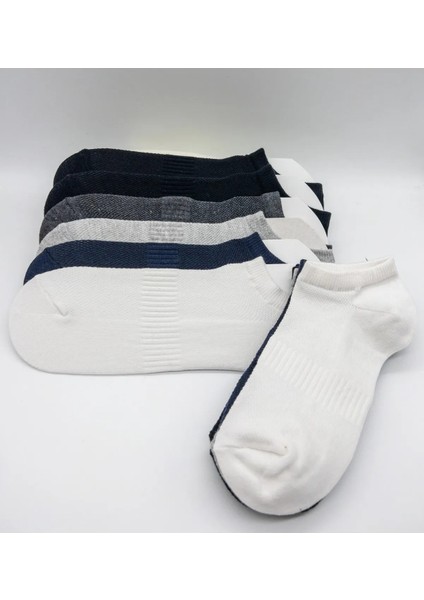 Ciho Socks Premium 6 Çift Modal Unisex Havalandırmalı Görünmez Spor Çorap