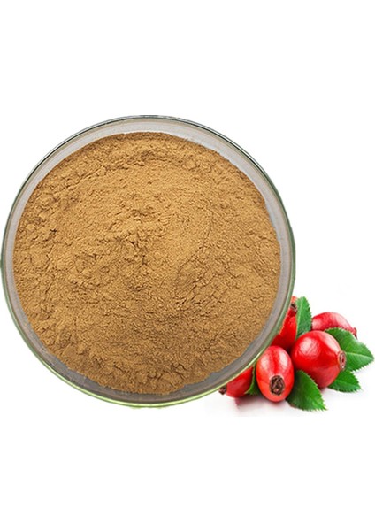 Kuşburnu Çekirdeği Tozu (Öğütülmüş) 100 gr modelleri