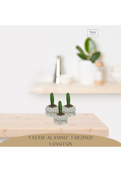 Dekoratif Saksı Minik Kaktüs Saksısı Çiçekli Fiyonklu Model