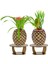 Ahşap Ayaklı Beton Saksı Büyük Boy Set 2 Adet Ananas Model 1