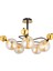 Florit 5'li Siyah Gold Modern Oturma Odası Salon Avize 2