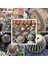 50'li Mix Barrel Cactus Tohumu + 10'lu Kırmızı Orkide Çiçek Tohumu 1