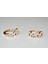 Crown Of Love Luxury Zirkon Taşlı Küpe 2