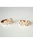 Crown Of Love Luxury Zirkon Taşlı Küpe 4