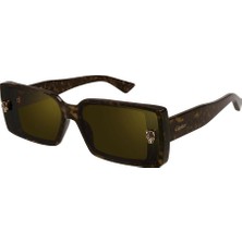 Cartıer Güneş Gözlüğü CT0358S 002 64-13