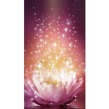 Pix Art Sanat Pırıltılı Lotus Çiçeği  Pixart Sanat Elmas Mozaik Tablo Diamond Türkiye 43*73