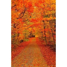 Pix Art Sanat Sonbaharda Ormanın Turuncu Hali    Pixart Sanat Elmas Mozaik Tablo Diamond Türkiye 37*57