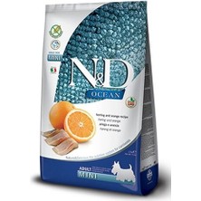 N&d Ocean Balıklı Küçük Irk Tahılsız Yetişkin Köpek Maması 2.5 kg