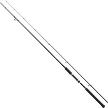 SHIMANO Salty Advance 305 cm Max. 80 gr Shore Jig Kamışı