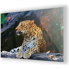 Woody City Leopar Resmi Cam Tablo