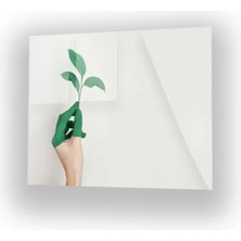 Woody City Okaliptus Yaprak Cam Tablo