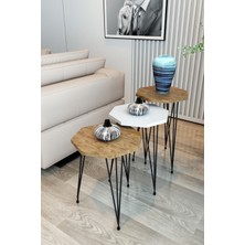 Modalanka 3'lü Zigon Sehpa Sekizgen Model Zigon Sehpa Metal Tel Ayak