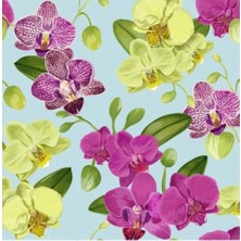 Day 100'lü 10 Farklı Renk Karışık Orchid Seed Çiçeği Tohumu + 10'lu Kırmızı Zambak Tohumu