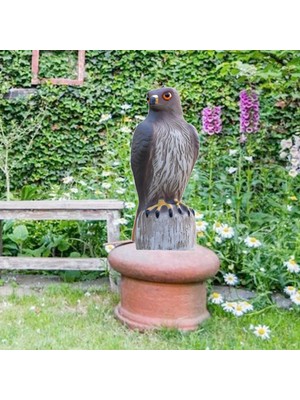 Qearl Eagle Heykeli Plastik Raf Kitaplık Masaüstü Figürin Koleksiyonu Zanaat Dekoru (Yurt Dışından)