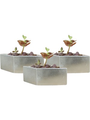 Stein Kohle Dekoratif Saksı Minik Kaktüs Saksısı Dörtgen Model