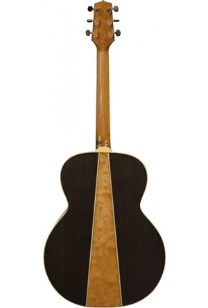 Takamine acoustic shop