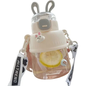 Sweet Rui Kids Outdoor Portatif Plastik Su Şişesi 700ML Pipetli ve Taşıyıcılı (Yurt Dışından)