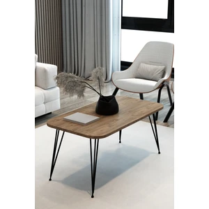 Dikdörtgen Orta Sehpa Oval Kenar Dekoratif Sehpa Orta Sehpa Metal Tel Ayak Ahşap