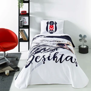 Beşiktaş Yıldırım Pike Takımı