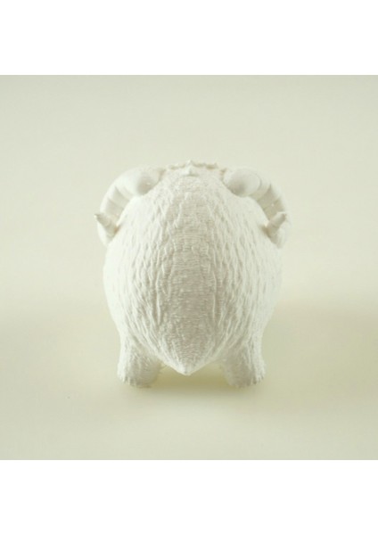 Poro Biblo
