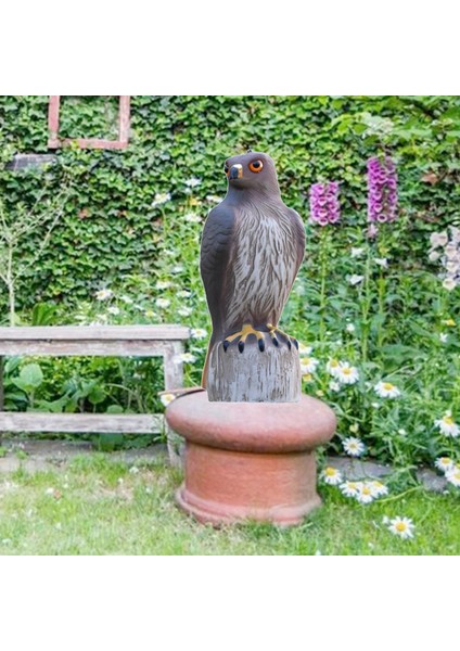 Eagle Heykeli Plastik Raf Kitaplık Masaüstü Figürin Koleksiyonu Zanaat Dekoru (Yurt Dışından)