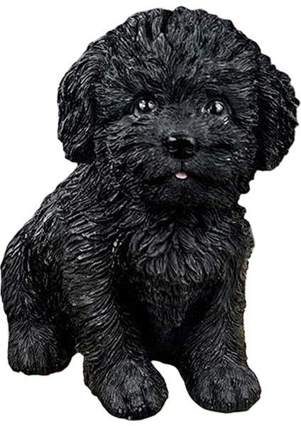 Fairy Micro Peyzaj Raf Masa Süsleme Siyah (Yurt Dışından)