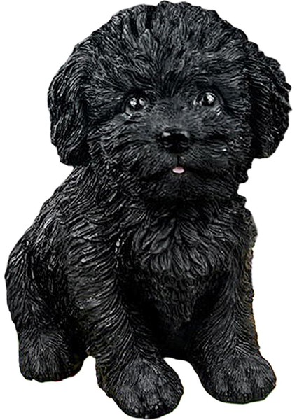 Fairy Micro Peyzaj Raf Masa Süsleme Siyah (Yurt Dışından) fiyatları