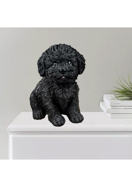 Fairy Micro Peyzaj Raf Masa Süsleme Siyah (Yurt Dışından) indirimleri