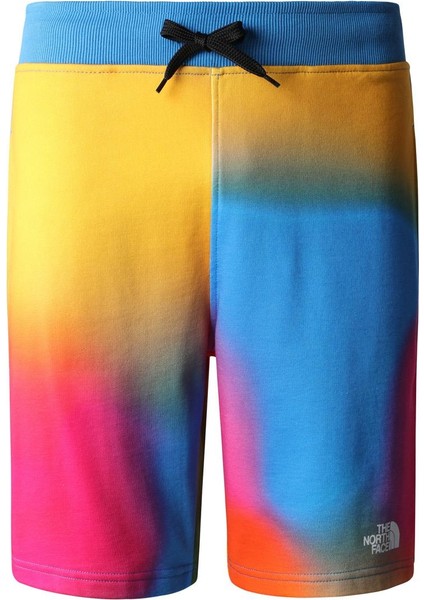 M Standard Short Lıght-Eu Erkek Şort NF0A3S4EIAX1