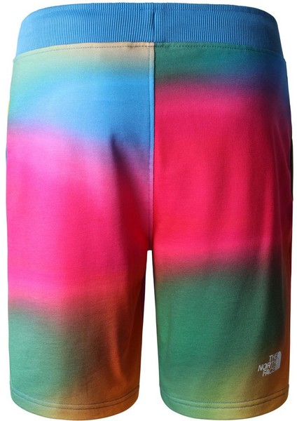 M Standard Short Lıght-Eu Erkek Şort NF0A3S4EIAX1 fiyatları