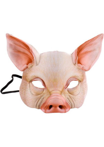 Cadılar Bayramı Seti (Yurt Dışından) fiyatları