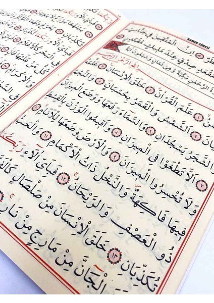 Vezzariyat Cüzü (Bilgisayat Hatlı)