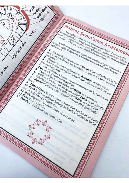 Soru Cevaplı Tam Karabaş Tecvidi