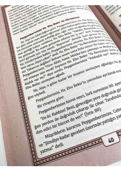 Peygamberimizin Hayatı-M. Salih Eyüpoğlu fiyatları