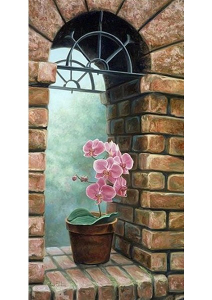 Eski Duvar Önündeki Pembe Çiçek Pixart Sanat Elmas Mozaik Tablo Diamond Türkiye 38*73