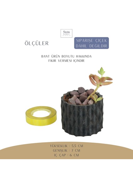 Dekoratif Saksı Minik Kaktüs Saksısı Baklava Model