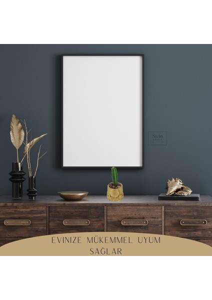 Dekoratif Saksı Minik Kaktüs Saksısı Deniz Ürünlü Model