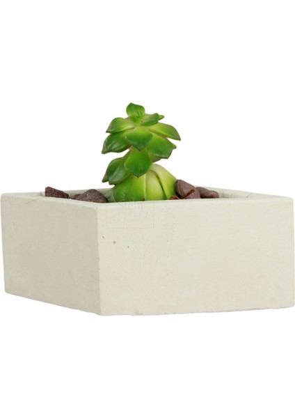 Dekoratif Saksı Minik Kaktüs Saksısı Dörtgen Model