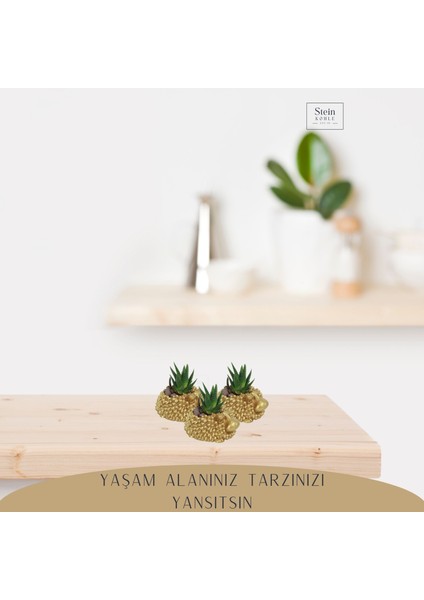 Dekoratif Saksı Minik Kaktüs Saksısı Koyun Model