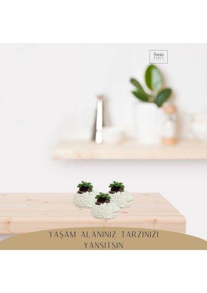 Dekoratif Saksı Minik Kaktüs Saksısı Koyun Model