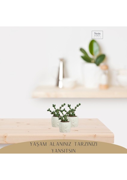 Dekoratif Saksı Minik Kaktüs Saksısı Kaktüs Desenli Model